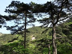 -黄山光明顶山庄