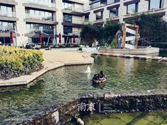 -行者书屋大堂吧 ·下午茶(南京圣和府邸酒店)