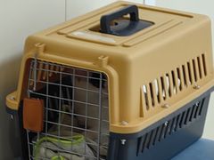 -美联众合动物医院·24h京西诊疗中心