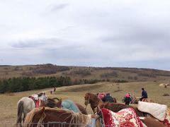 -塞罕坝国家级自然保护区
