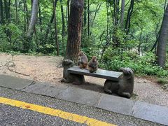 -黔灵山公园