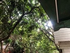 -光明刘冰乳鸽店(光明法政北路店)