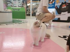 -PO PARK东方宝泰
