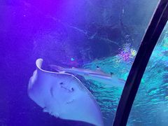 -沈阳海洋探索中心