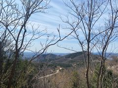 -北京西山国家森林公园