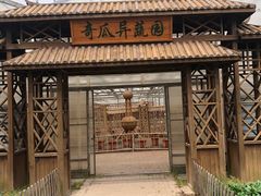 -上海都市菜园