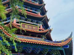 -铁山坪森林公园