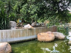 -灵玲国际马戏城