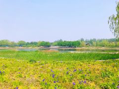 -永定河休闲森林公园