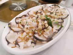 顺德蒸缩骨鱼片-顺德佬华侨城店·商务宴请·团建