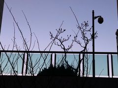 -鸥迪足道(老虎滩店)