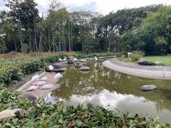 -顾村公园