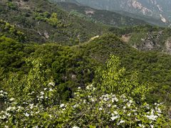 -阳台山自然风景区