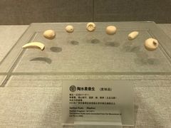 -南越王博物院(王宫展区)