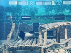 -黔灵山公园