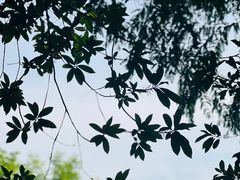 -同里国家湿地公园