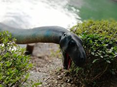 -石燕湖生态旅游景区