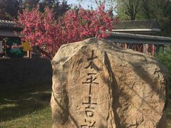 -莲花池公园