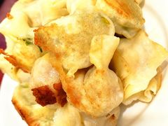 -东门饺子馆(少年宫路店)