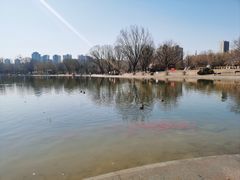 -太阳宫公园