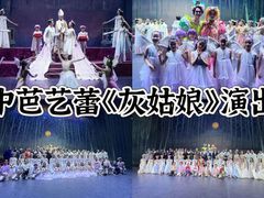 -中央芭蕾舞团·中芭艺蕾(酒仙桥明星校区)