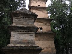 -兴教寺