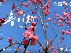 -无锡梅园公园