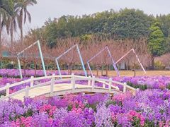 -盈香心动乐园