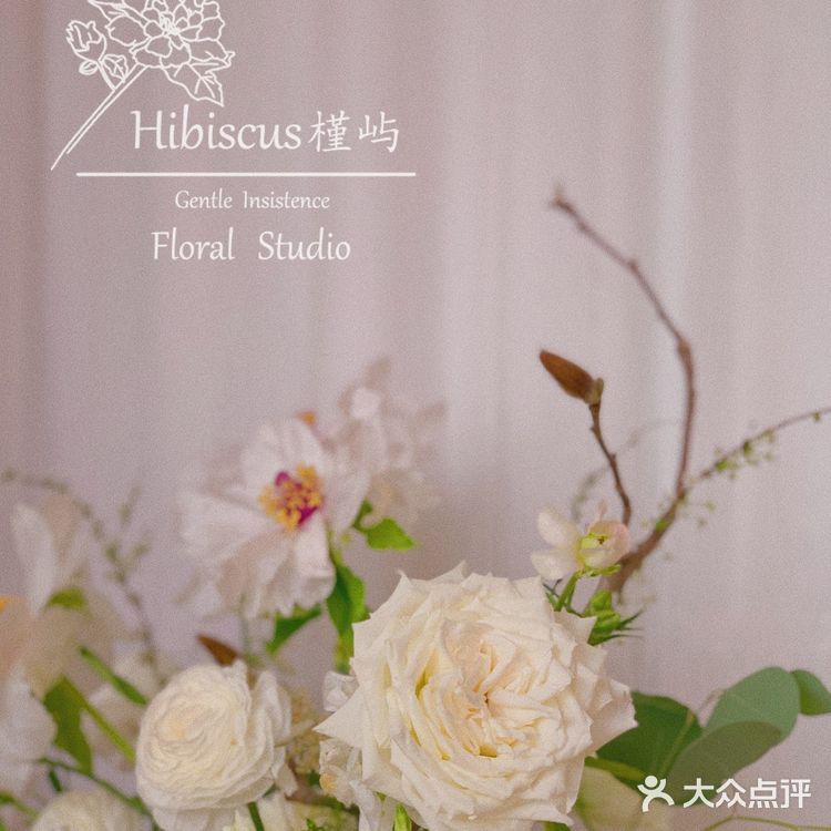 单瓣牡丹开花啦～