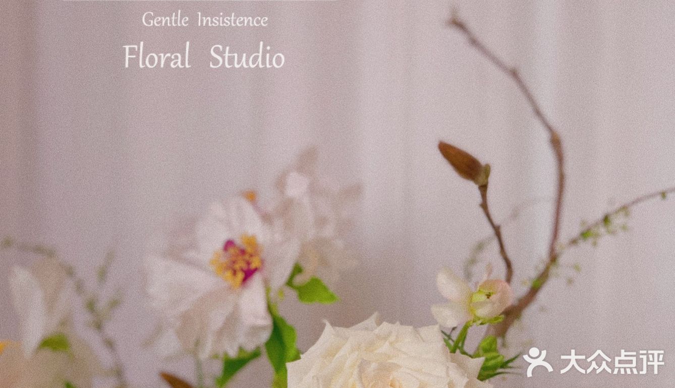 单瓣牡丹开花啦～