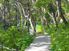 -白草畔自然风景区