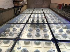 -侵华日军南京大屠杀遇难同胞纪念馆
