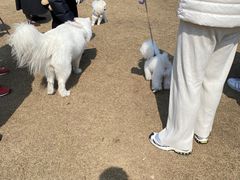 -西北湖绿化广场