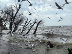 -捞渔河湿地公园