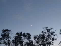 -东莞观音山旅游风景区