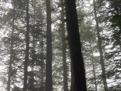 -山王坪喀斯特国家生态公园