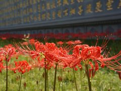 -西安大兴善寺