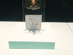-浙江西湖美术馆