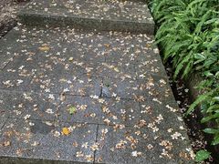-火炉山森林公园