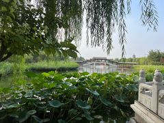 -西海子公园