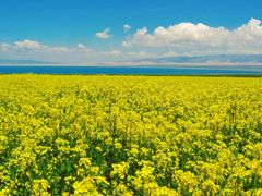 -青海湖国家重点风景名胜区