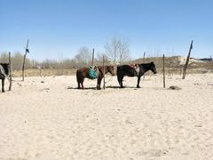 -库伦旗银沙湾旅游景区