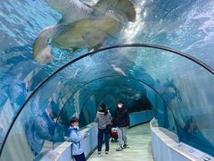 -苏州海洋馆