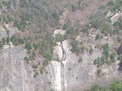 -朱雀国家森林公园