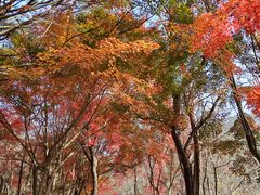 -崂山巨峰游览区