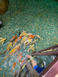 -酷嗒动物文化乐园(cutezoo西溪乐天城店)