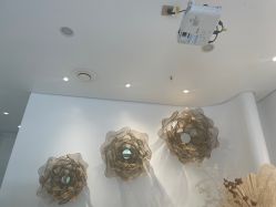 -YESIDO椰岛美容
