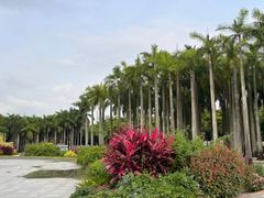 -深圳国际园林花卉博览园