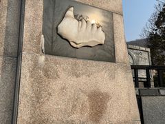 -金钉子远古世界景区