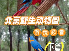 -北京野生动物园